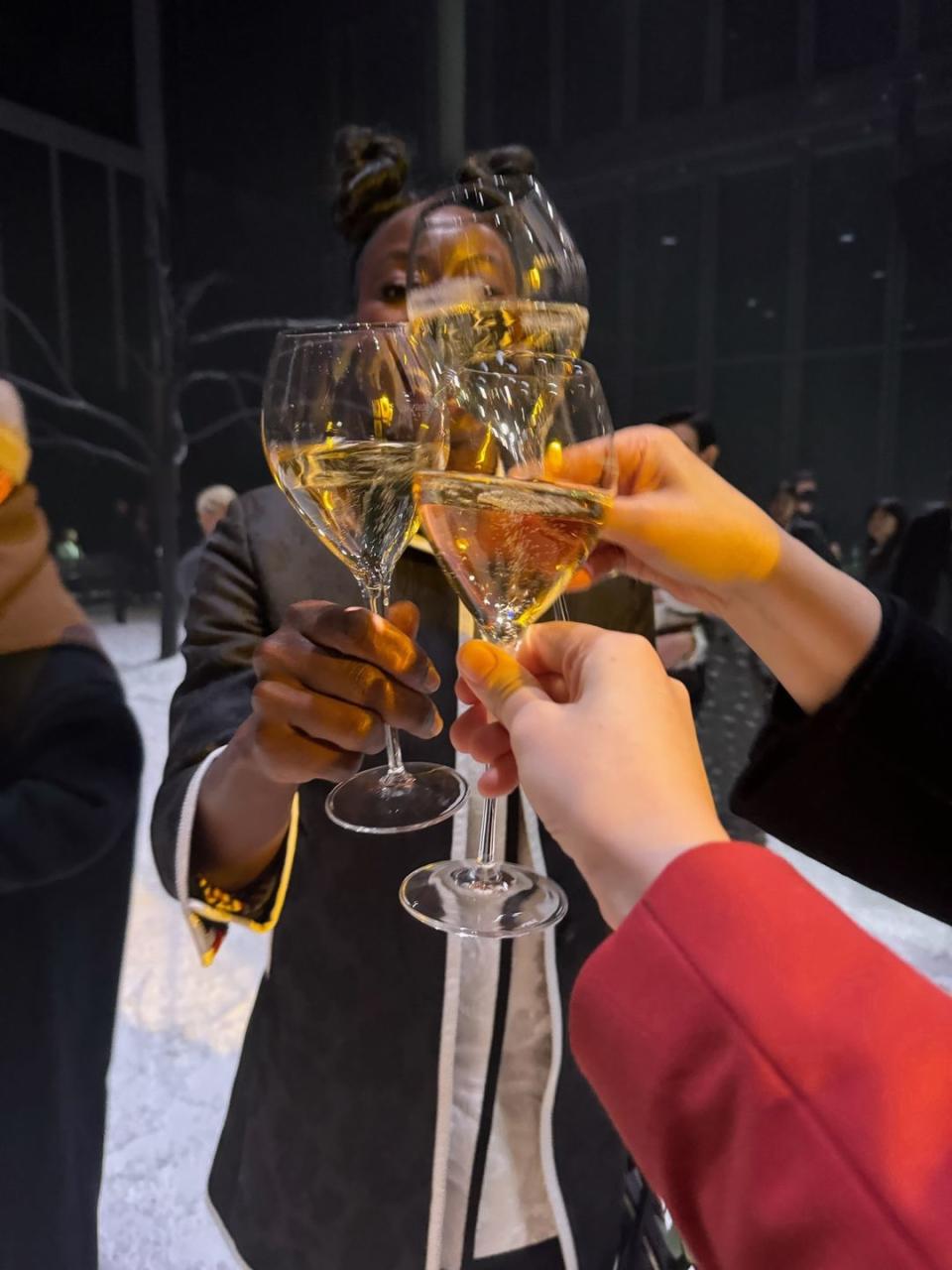 a group of people holding glasses of wine