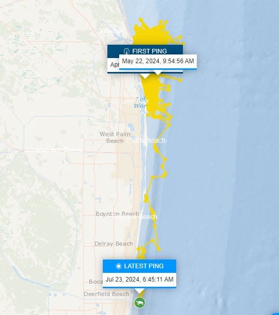 Cecil, a female loggerhead sea turtle, pinged off Deerfield Beach at 6:45 a.m. July 23, 2024.