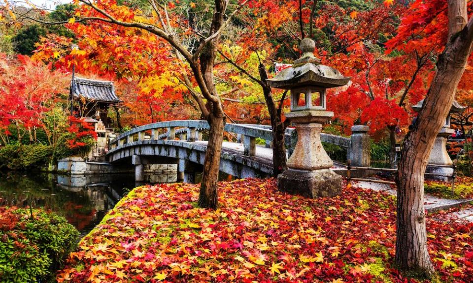 autumn in Kyoto with fallen colorful leaves over a bridge