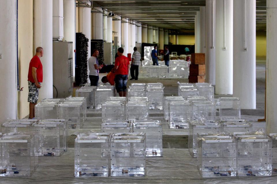 Electoral workers prepare ballot boxes in a warehouse in Thessaloniki, Greece, on July 2, 2015, ahead of Sunday's economic referendum.