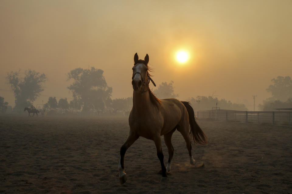 Smoke from wildfires burning in the region fills the air as a horse runs at a ranch in Simi Valley, Calif., Oct. 30, 2019. (Photo: Ringo H.W. Chiu/AP)