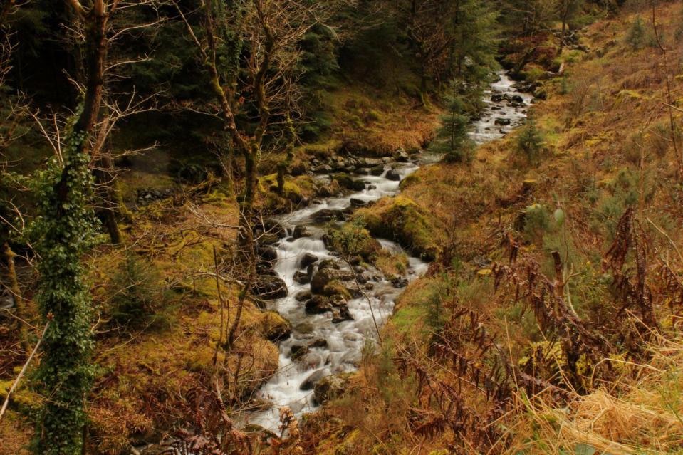 Whinlatter, The Lake District