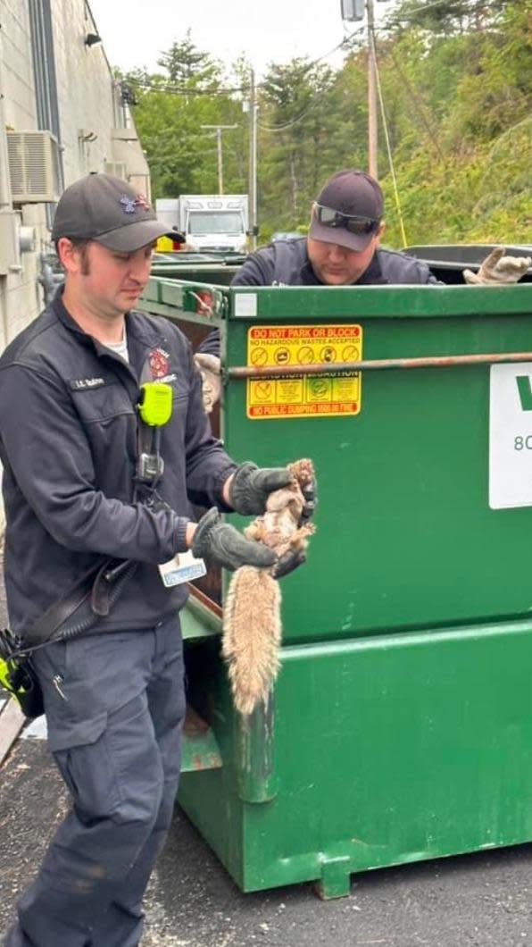 救護員成功救出松鼠。（圖／翻攝自Peterborough Fire & Rescue臉書）