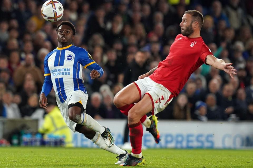 Forest want to add Steve Cook (right) to their Premier League squad (Gareth Fuller/PA) (PA Wire)