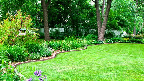 garden with brick edging