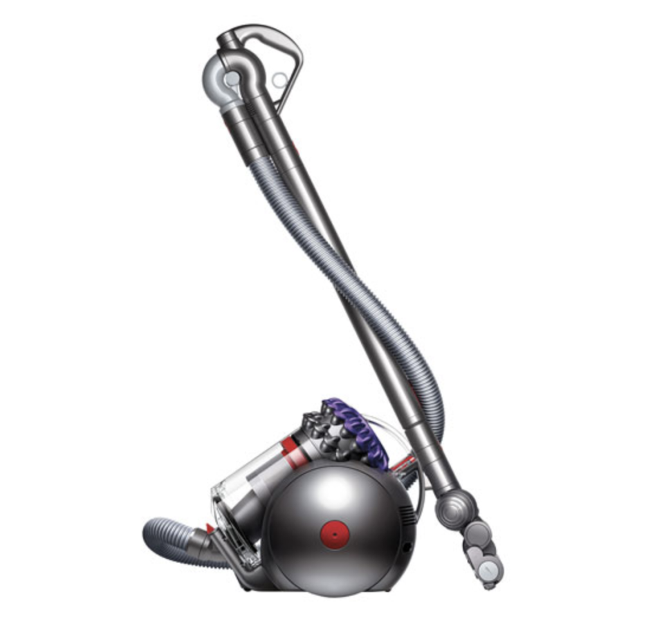 Dyson Big Ball Animal Canister Vacuum (Image via Best Buy Canada).