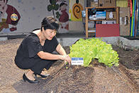 孩子若不害怕泥土，大膽地以手接觸泥土，對大自然便多一份接受和感覺，對個人成長很有幫助。