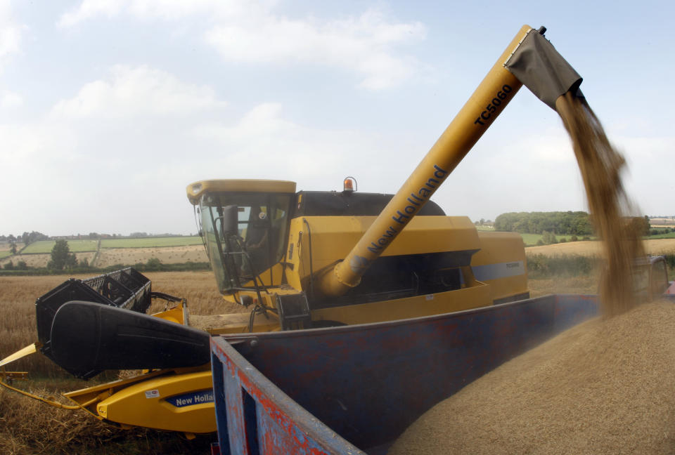 Farmer Pete Towle empties his combine harvester of oats in Walton on the Wolds, central England, August 30, 2008.   REUTERS/Darren Staples (BRITAIN)