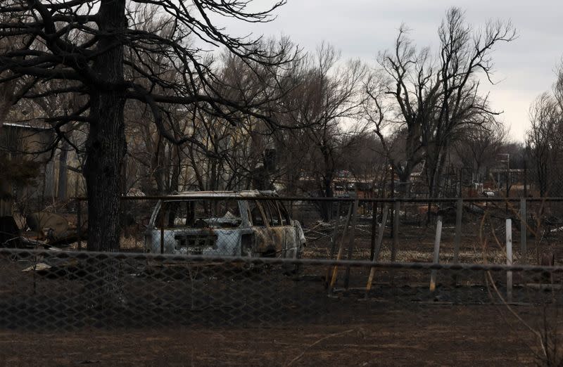 Vehicles and trees that were damaged by wildfires are pictured in Stinnett