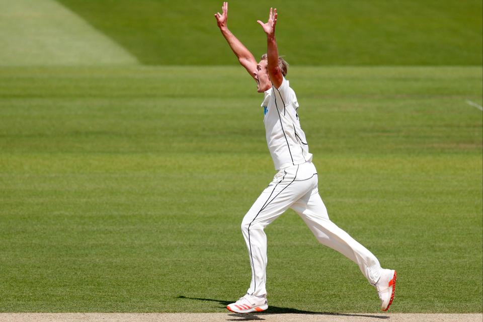 Kyle Jamieson celebrates a wicket in the Lord’s Test (AFP via Getty Images)