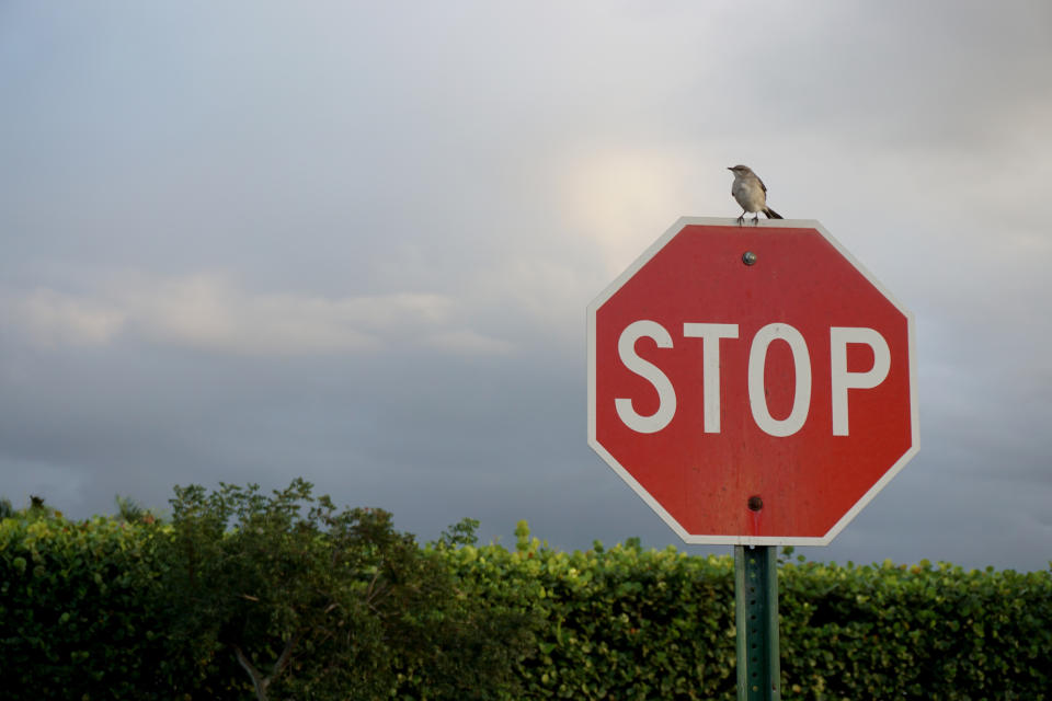 a stop sign against a cloudy sky and bushes