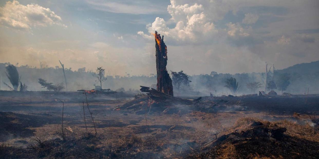 Photo credit: JOAO LAET - Getty Images