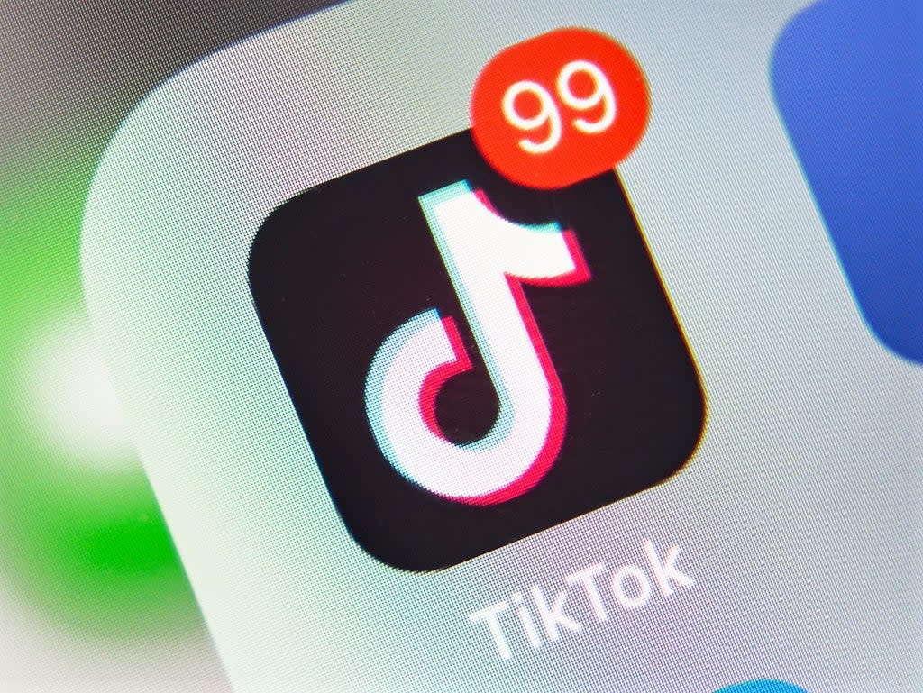 TikTok overtook Google to become the most visited website in the world in the second half of 2021 (Getty Images)