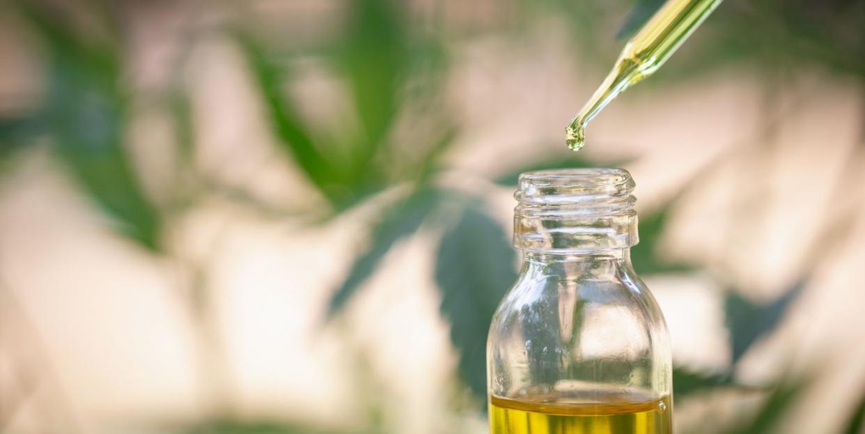 Hemp oil, Medical marijuana products including cannabis leaf,  cbd  and hash oil, alternative medicine