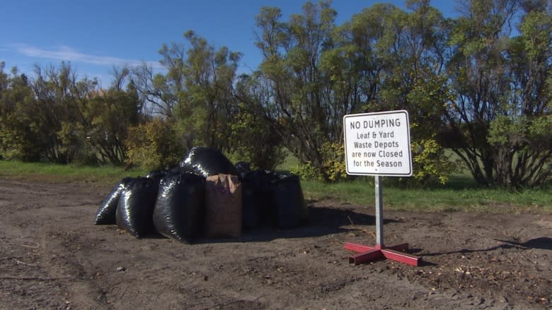 City of Regina rolls out new, temporary leaf disposal program