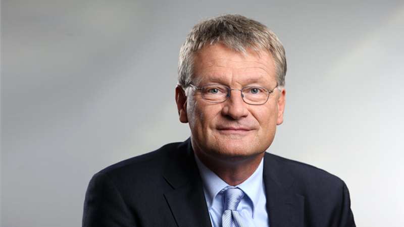 另類選擇黨共同主席莫伊藤（Jörg Meuthen）。（取自AfD官方網站）