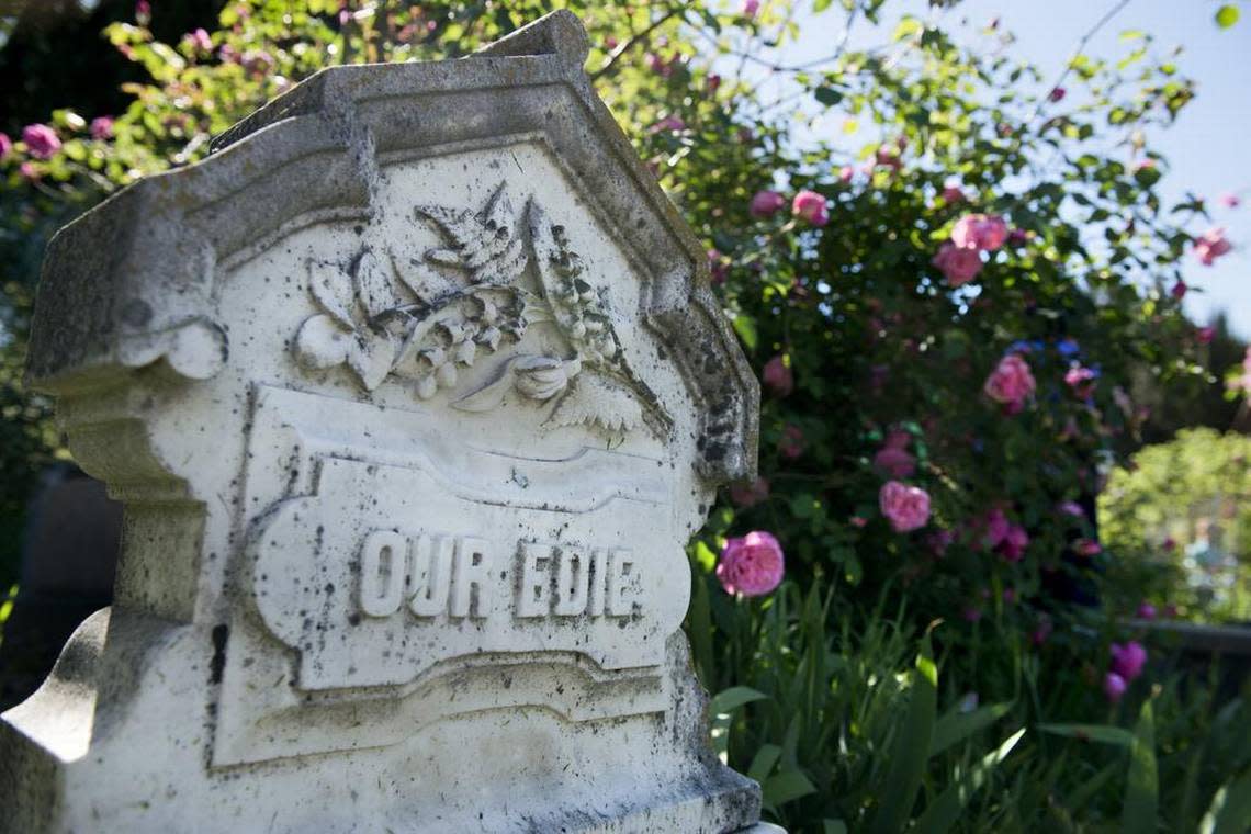 A tombstone for a girl who died when she was 3 1/2 years old is nestled among roses in 2016 at the Sacramento Historic City Cemetery. Autumn Payne/Sacramento Bee file