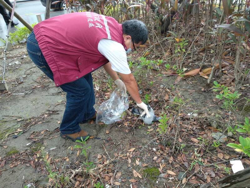 公園發現鴿屍  新北動保處：凶手是鳳頭蒼鷹 新北市政府動保處22日表示，多處公園近來發現鴿子 屍體，經追蹤巡查發現鳥屍2處地點都有鳳頭蒼鷹棲 息出沒，再檢視鴿屍傷口形狀、吻合猛禽啄食慣性， 研判就是鳳頭蒼鷹所致。圖為動保處人員處理鴿子屍 體。 （動保處提供） 中央社記者王鴻國傳真  113年4月22日 