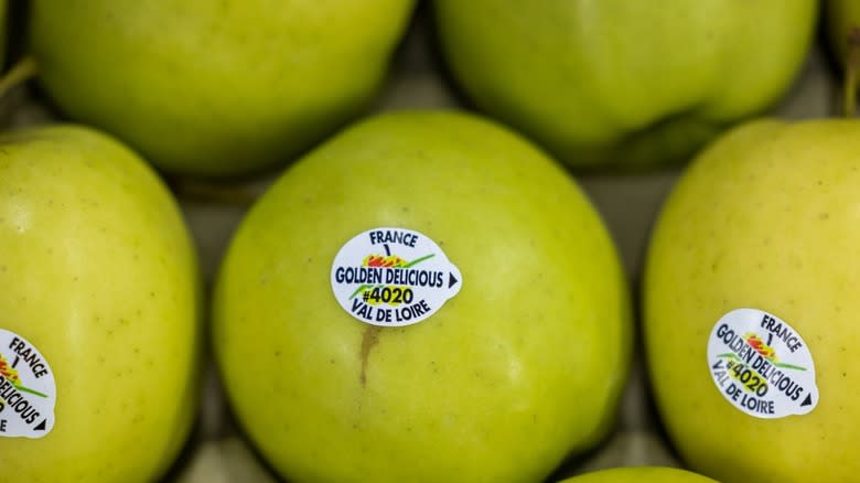 Rows of Golden Delicious apples