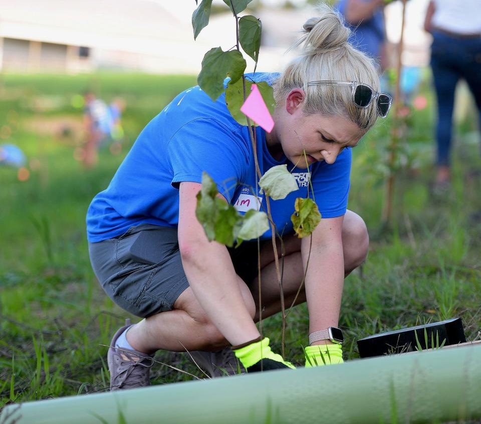 An F&M Trust employee works with 250 coworkers to plant 500 trees and shrubs recently on a Shippensburg, Pa., farm as part of a Chesapeake Bay Foundation program to improve water quality and reduce pollution in the bay.