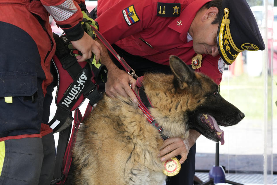 Zeus, un perro que trabajaba con el departamento de bomberos, recibe una medalla en agradecimiento por su servicio, durante su ceremonia de jubilación, en Quito, Ecuador, el 20 de mayo de 2024. Los perros fueron adoptados por residentes en la capital. (AP Foto/Dolores Ochoa)