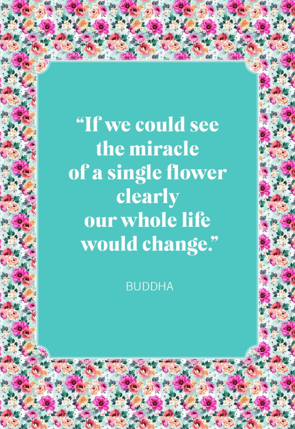 flower quotes buddha