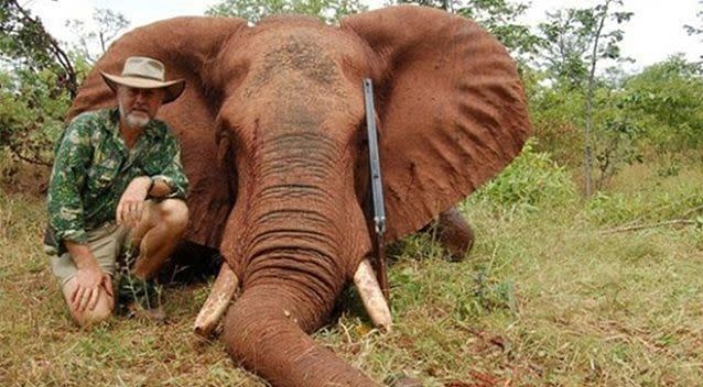 Robert Borsak has previously been caught up in a hunting controversy after admitting killing an elephant in Zimbabwe more than 10 years ago. Photo: Facebook