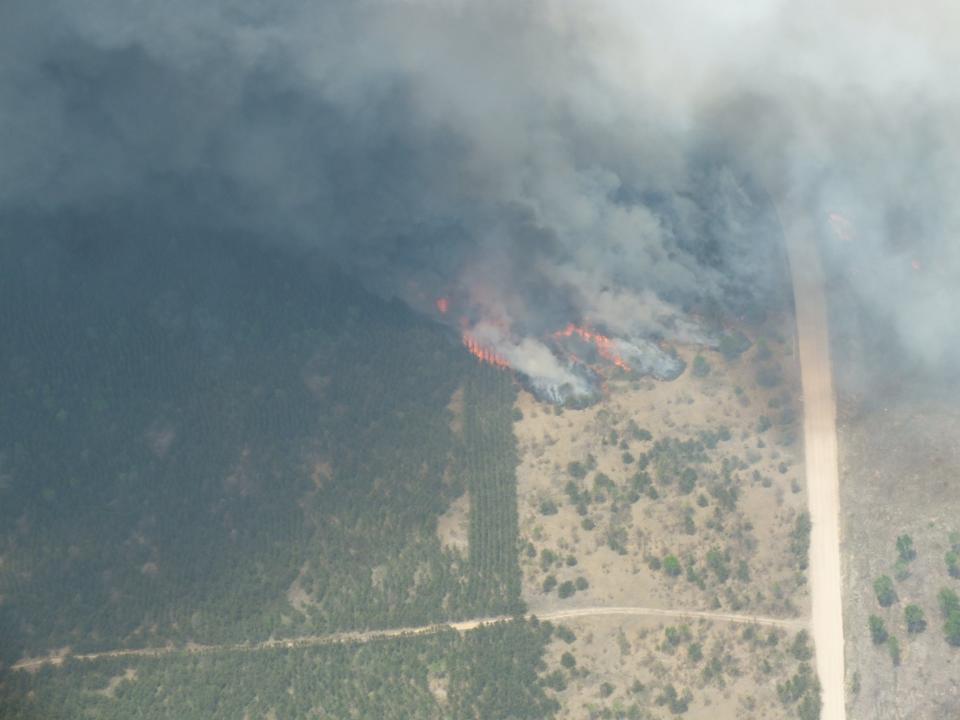 The wildfire near Grayling in Crawford County is pictured. A campfire caused the fire on Saturday. It was 85% contained as of Sunday morning, the Michigan Department of Natural Resources said.