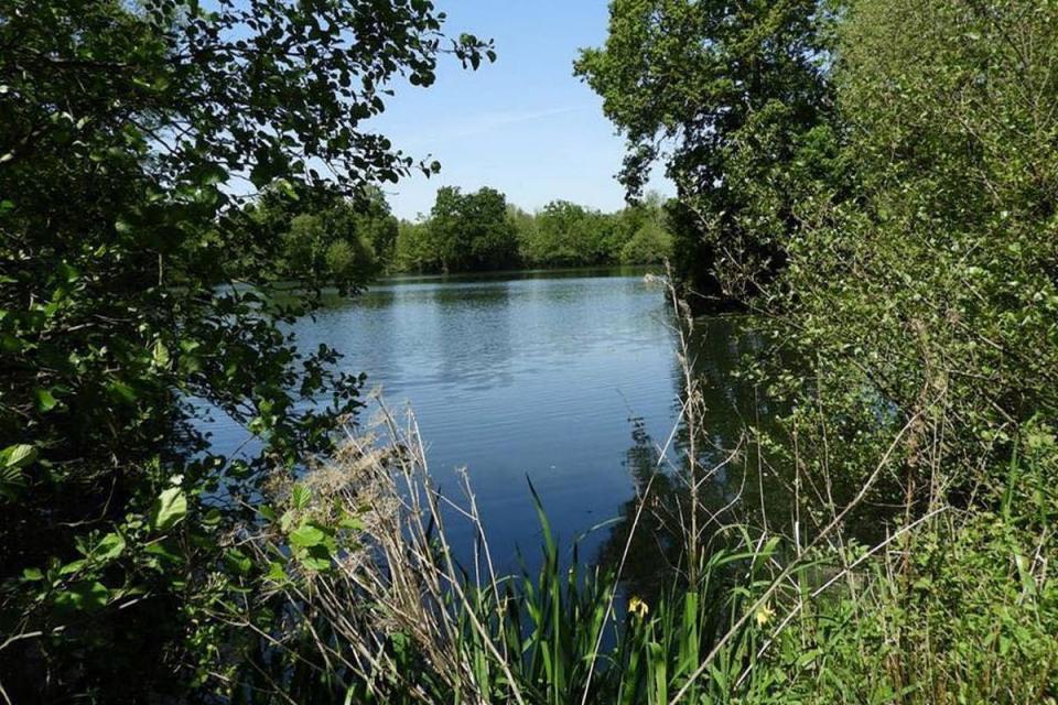 Layfields Lakes at Lenwade is at the centre of a High Court claim over injuries sustained by an angler while cutting a tree <i>(Image: Newsquest)</i>