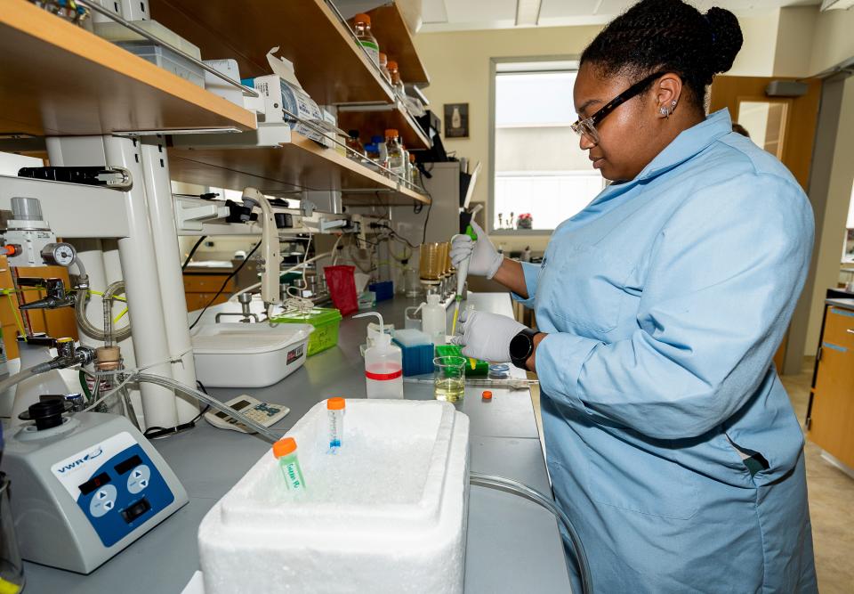 Kieyarrah Dennis, a University of Wisconsin-Milwaukee doctoral candidate, performs a lab test at Sandra McLellan's lab in the School of Freshwater Sciences. The UWM researchers are part of a statewide effort to track diseases in wastewater that has been recognized as a national leader.