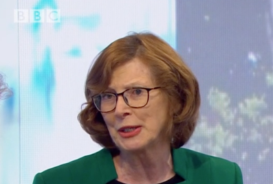 Baroness Hollis said it was too late for the House of Lords to intervene (BBC)