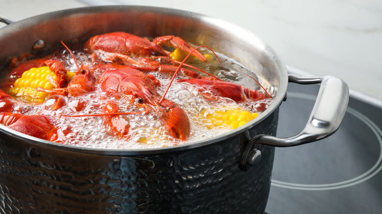 Lobster and corn cobs in pot on stove