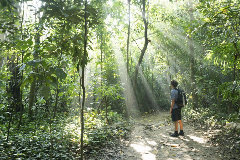 Boy hiking in Singapore's forest. (PHOTO: Getty Images)