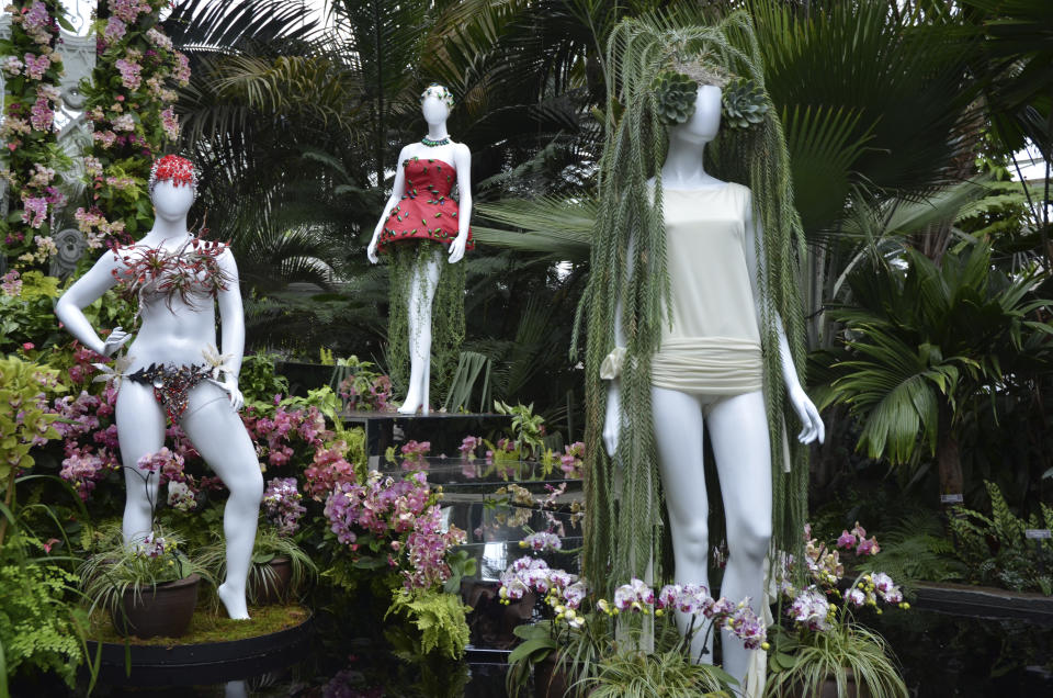 A fashion-creation inspired by nature from Dauphinette designed by Olivia Cheng in "The Orchid Show: Florals in Fashion" at The New York Botanical Garden, Saturday, Feb. 17, 2024, in the Bronx borough of New York. A mannequin, right, wears blue-green tresses of Huperzia, and Echeveria, on a staircase of orchids. The mannequin's dress in back has green decorative elements that are beetles with hanging Senecio peregrinus "String of Dolphins" succulents. (AP Photo/Pamela Hassell)