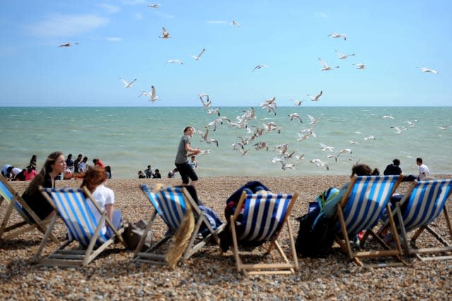 Public urged to record shore sounds