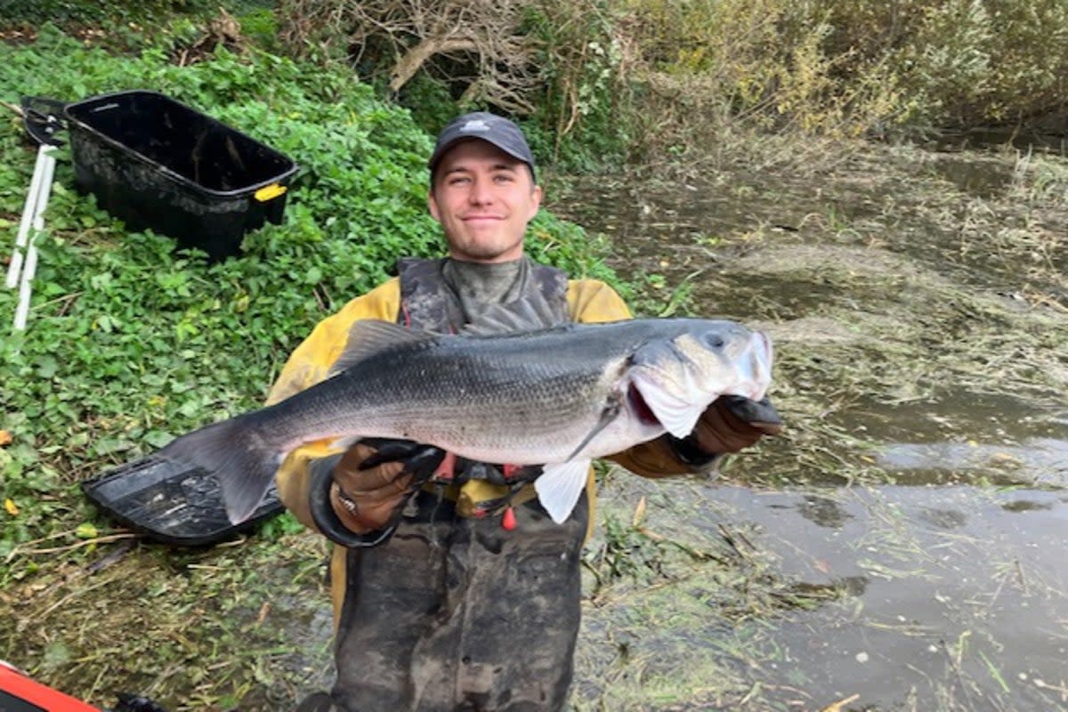 Ryan Forshaw - Senior Ecological Consultant at Ricardo - with a large fish found in the Channelsea  ( )