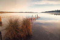 <b>Fermanagh Lakelands, Nordirland</b><br><br> Wälder, grüne Wiesen und ganz viel Wasser: Nur etwa zwei Stunden von Belfast entfernt befinden sich die Fermanagh Lakelands. Die nordirische Grafschaft ist von Seen und Wasserstraßen durchzogen. Allein ein drittel der Landfläche sind vom Upper und Lower Lough Erne bedeckt. Mit ... (Bild: ddp images)