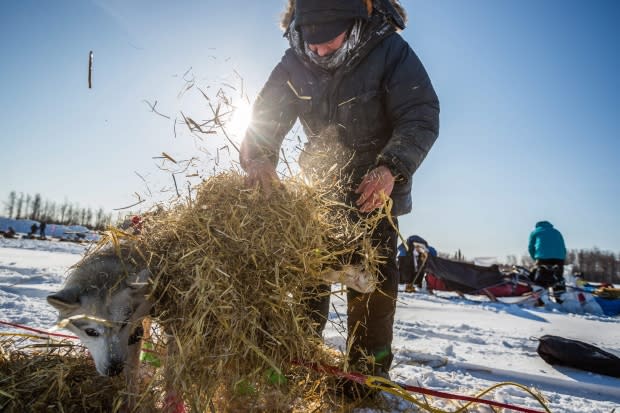 Alaska Dispatch/Loren Holmes/The Associated Press