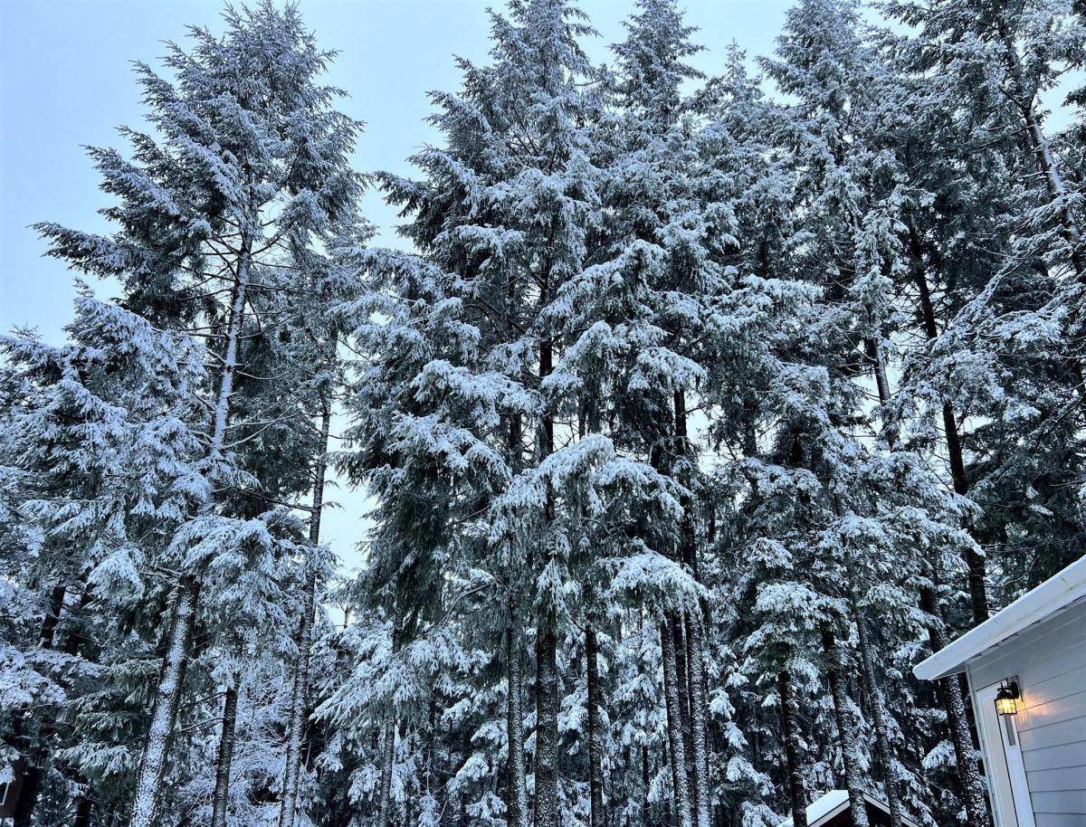 Spring Storm 3 ft snow forecast for Oregon mountain passes, snow