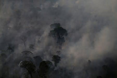 An aerial view of a burning tract of Amazon jungle as it is cleared by loggers and farmers near Porto Velho