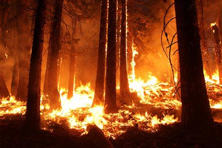 The Rim Fire burns at night in this undated United States Forest Service handout photo near Yosemite National Park, California, released to Reuters August 30, 2013. REUTERS/Mike McMillan/U.S. Forest Service/Handout via Reuters