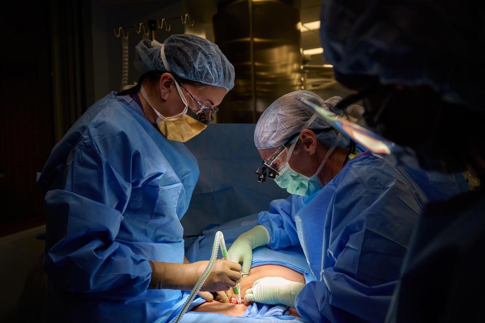 Transplant surgeons at NYU Langone Health surgically prepare for xenotransplantation. From left: Zoe A. Stewart-Lewis, MD, PhD, associate professor, Department of Surgery, and surgical director, Kidney and Pancreas Transplant Programs; and  Bonnie E. Lonze, MD, PhD, assistant professor, Department of Surgery, and director, Incompatible Kidney Transplant Programs.