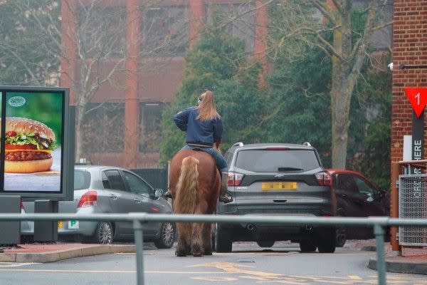 ▲英國一名女子日前騎著一匹小馬，在麥當勞得來速車道上排隊。（圖／twitter帳號HertsMercury）