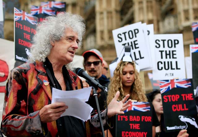 Badger cull protest