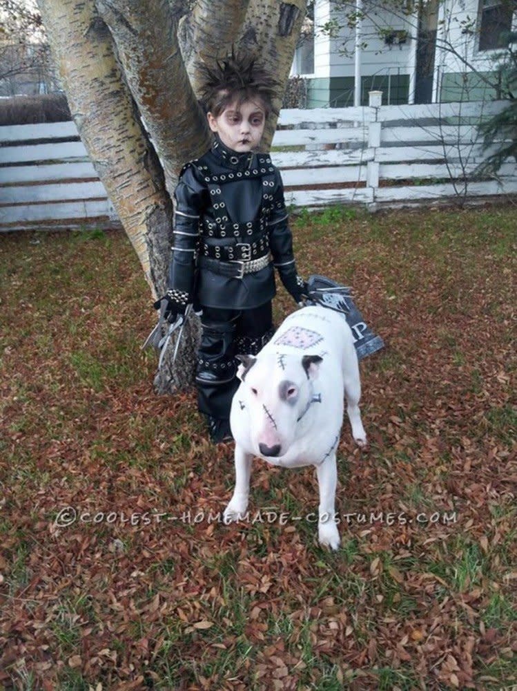 Via <a href="http://ideas.coolest-homemade-costumes.com/2013/11/09/cool-last-minute-edward-scissorhands-boy-costume-and-frankenweenie-pet-dog-costume/" target="_blank">Coolest Homemade Costumes</a>