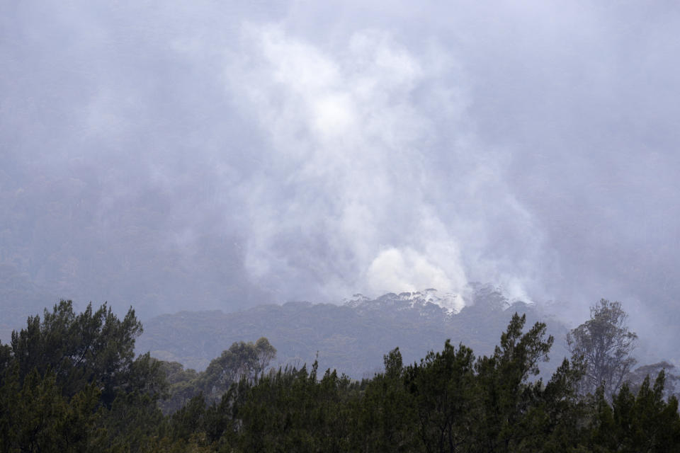 Un incendio consume una zona boscosa cerca de Cobargo, Australia, el domingo 12 de enero de 2020 (AP Foto/Rick Rycroft)