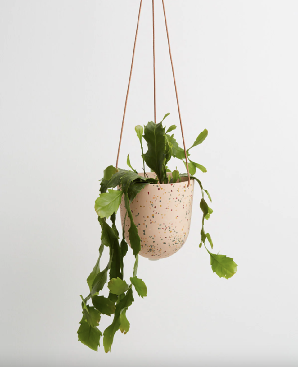 <p><a href="https://go.redirectingat.com?id=74968X1596630&url=https%3A%2F%2Fwww.thesill.com%2Fproducts%2Fterrazzo-hanging-planter&sref=https%3A%2F%2Fwww.goodhousekeeping.com%2Fhome-products%2Fg43784546%2Fbest-indoor-hanging-planters%2F" rel="nofollow noopener" target="_blank" data-ylk="slk:Shop Now;elm:context_link;itc:0;sec:content-canvas" class="link ">Shop Now</a></p><p>Terrazzo Hanging Planter</p><p>$38.00</p><p>thesill.com</p><span class="copyright">The Sill</span>