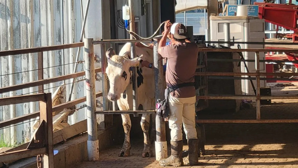 All of Indiana dairy farmer Steve Obert's employees are authorized to work, but he is among the business leaders advocating for more work permits for longtime undocumented residents. - Courtesy Steve Obert