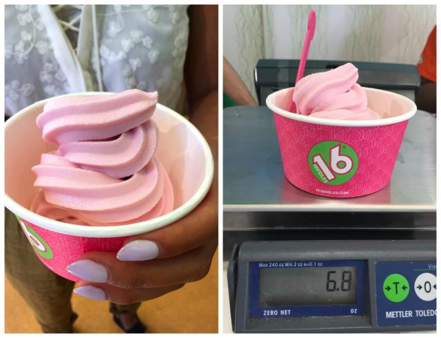 For Sale: Money Making, Frozen Yogurt-Ice Cream Business