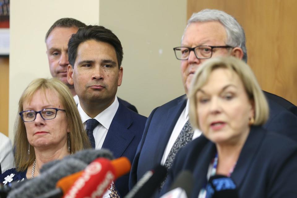 Simon Bridges watching Judith Collins speak to media